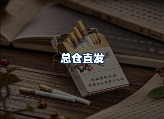 专业团队办公环境